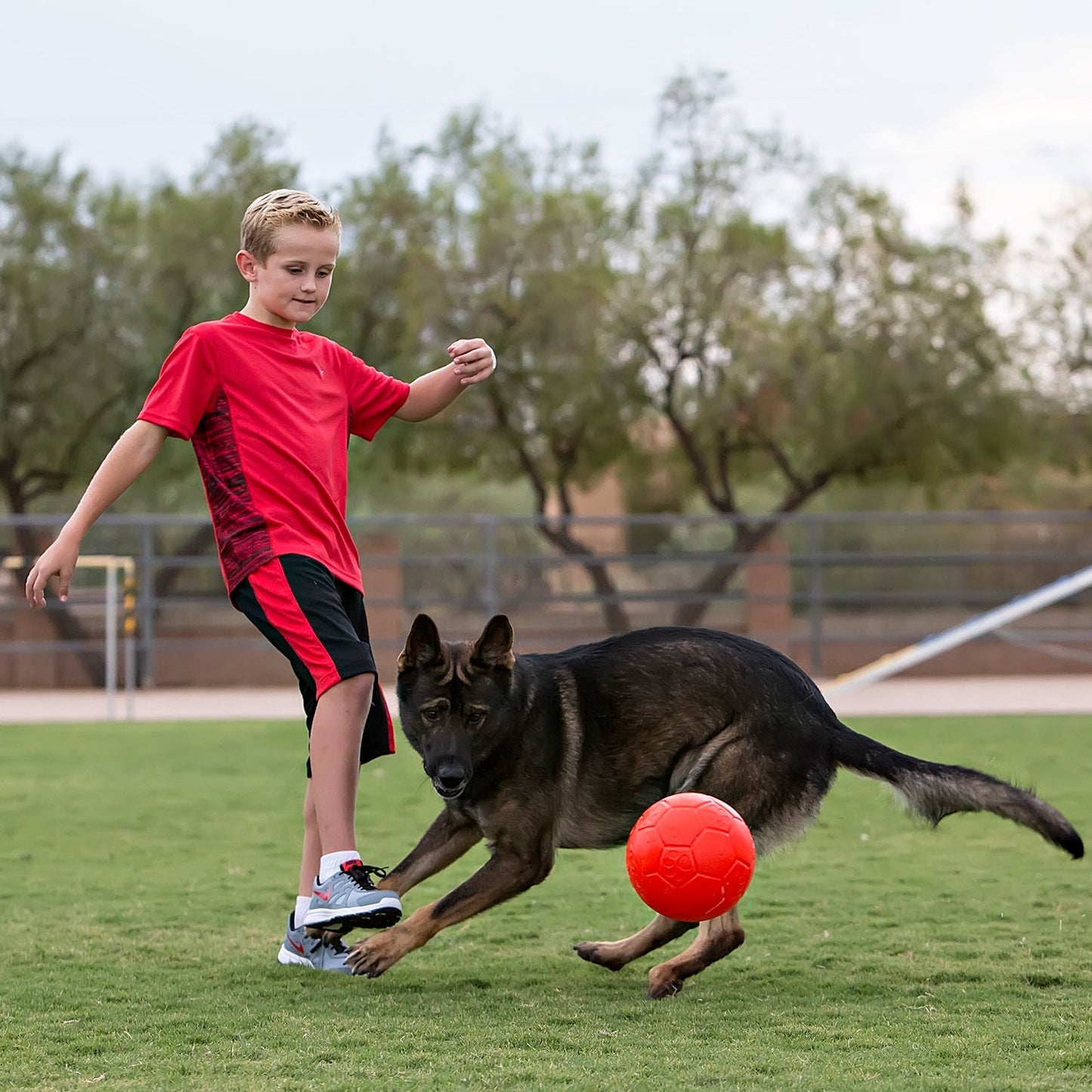 Jolly Soccer Ball