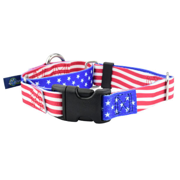 Star Spangled Buckle Martingale Dog Collar – EarthStyle