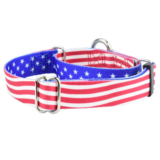 Star Spangled Martingale Dog Collar – EarthStyle