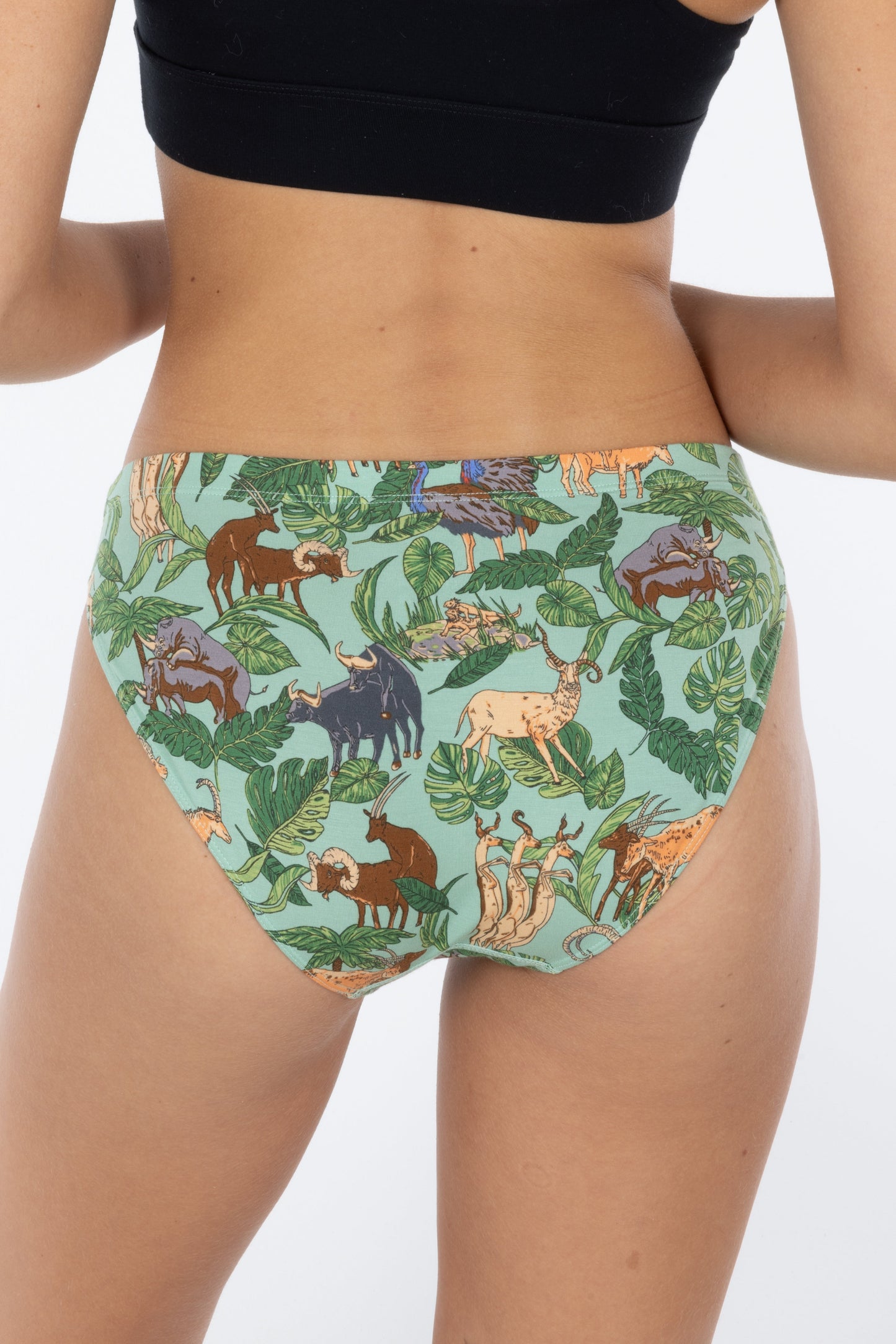 The Hornography | Tropical Animals Modal Bikini Underwear