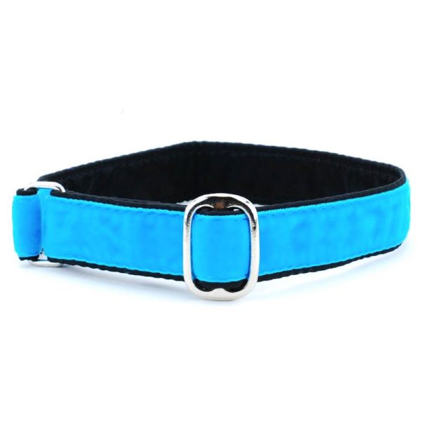 1″ Velvet Jingle Free Tag Dog Collar