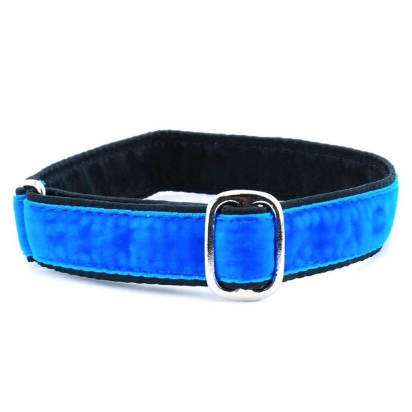 1″ Velvet Jingle Free Tag Dog Collar