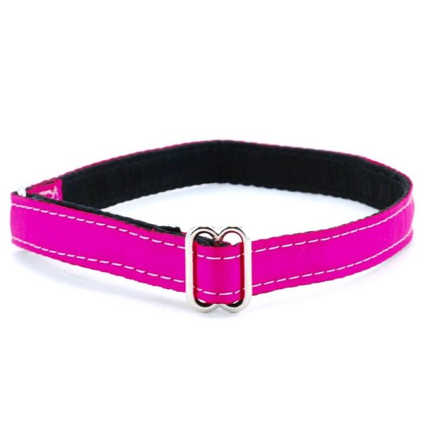 5/8″ Grosgrain Jingle Free Tag Dog Collar