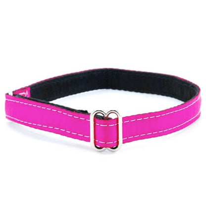 5/8″ Grosgrain Jingle Free Tag Dog Collar