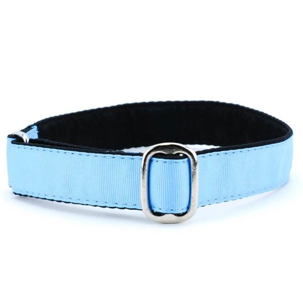 1″ Grosgrain Jingle Free Tag Dog Collar