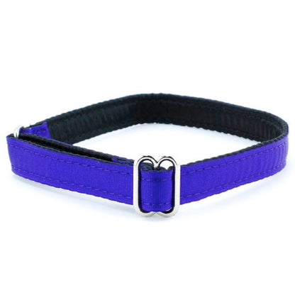 5/8″ Grosgrain Jingle Free Tag Dog Collar