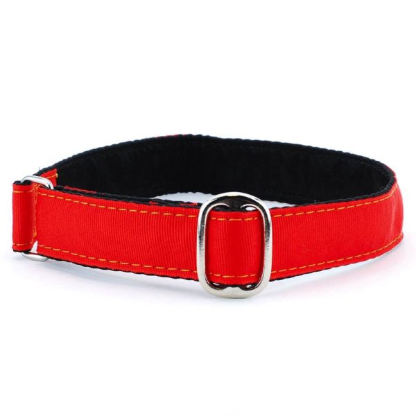 1″ Grosgrain Jingle Free Tag Dog Collar