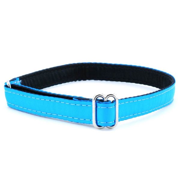 5/8″ Grosgrain Jingle Free Tag Dog Collar