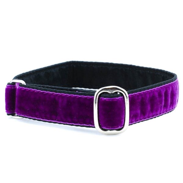 1″ Velvet Jingle Free Tag Dog Collar