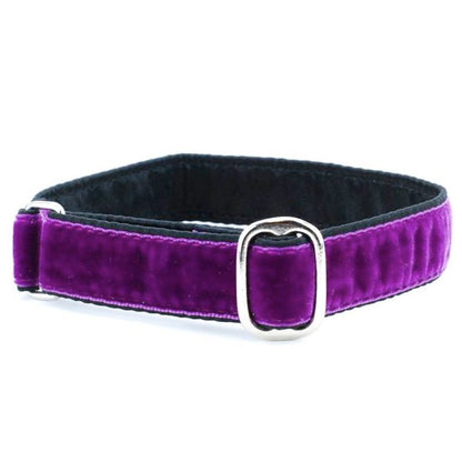 1″ Velvet Jingle Free Tag Dog Collar