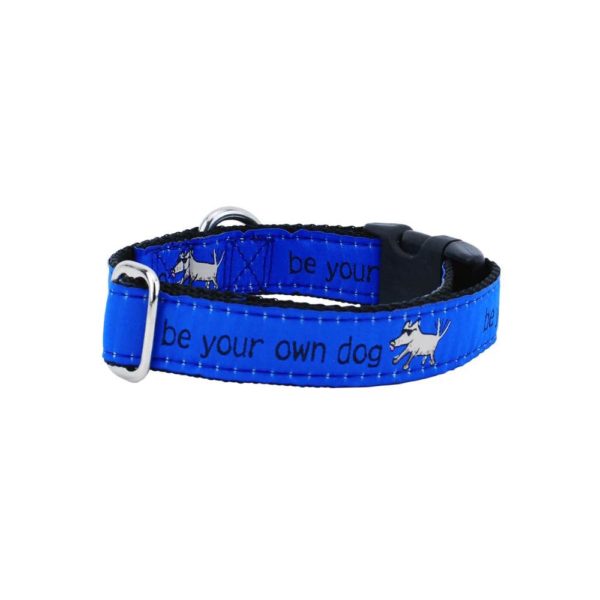 1″ Be Your Own Dog Teddy The Dog – Blue Essential Dog Collar