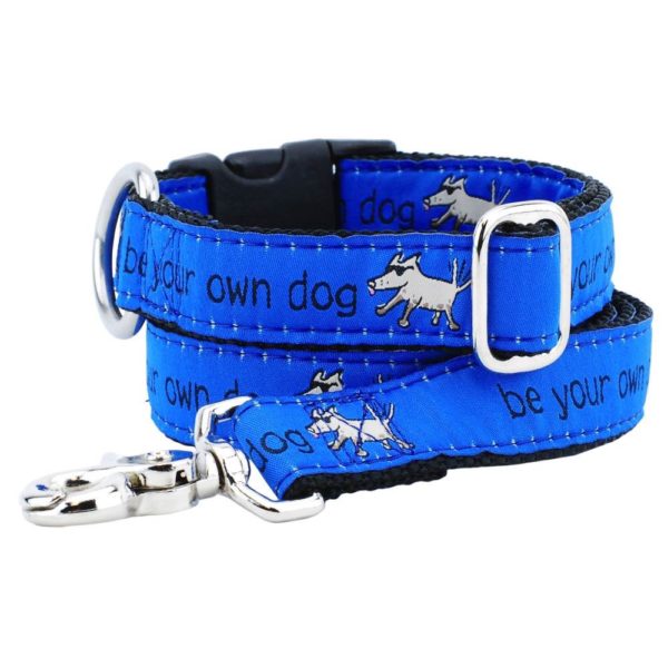 1″ Be Your Own Dog Teddy The Dog Blue Ribbon Dog Leash