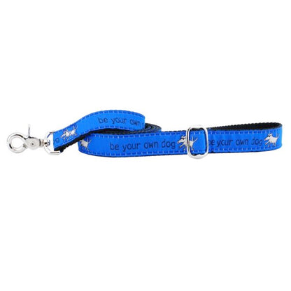 1″ Be Your Own Dog Teddy The Dog Blue Ribbon Dog Leash