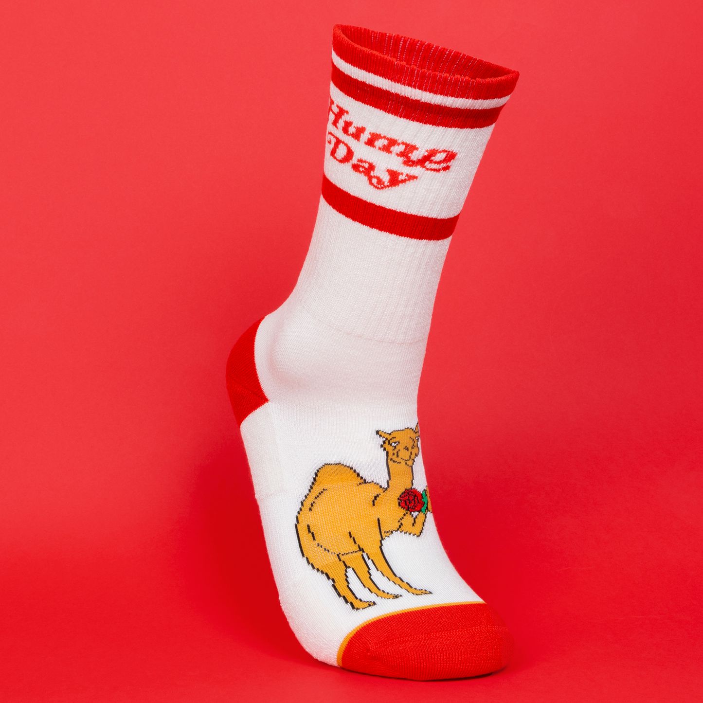 The Hump Day | Camel Heel Hammock™ Crew Socks