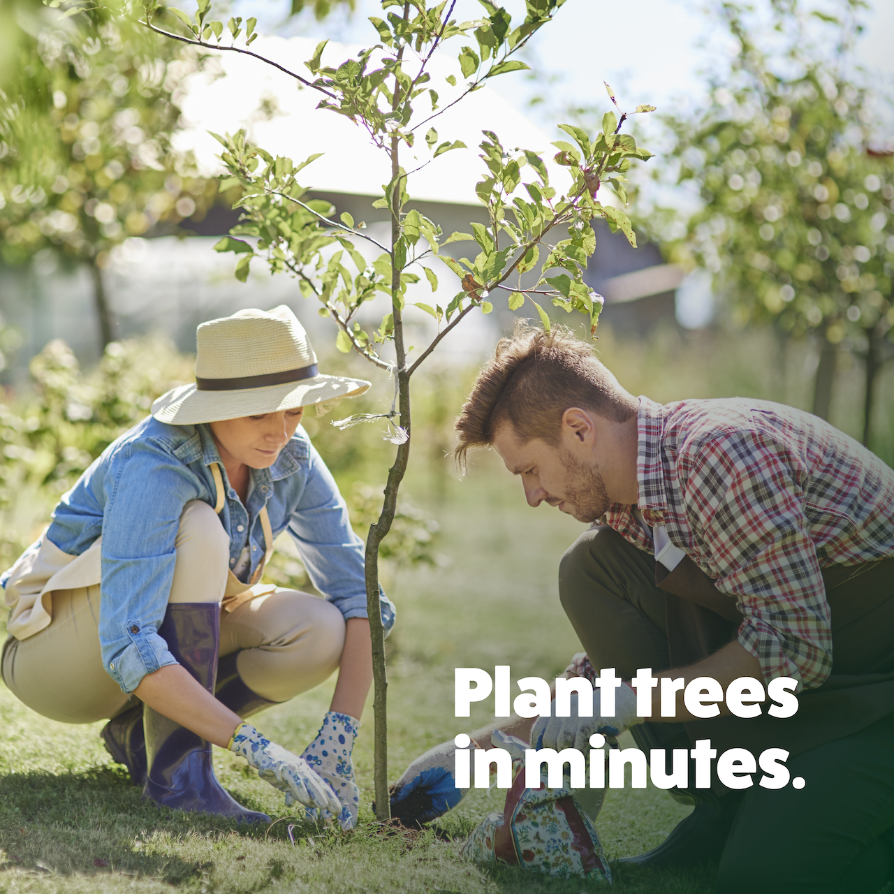 Tree Planting Auger Bit (2" x Standing Lengths)
