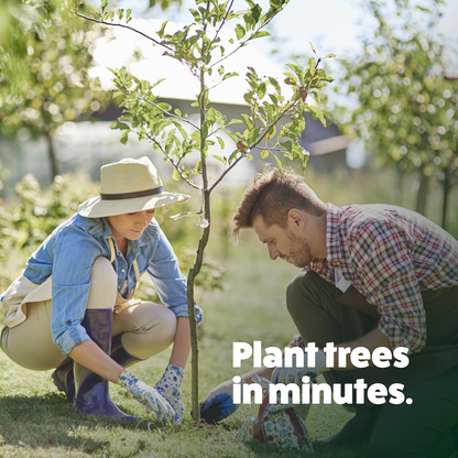 Tree Planting Auger Bit (2" x Standing Lengths)