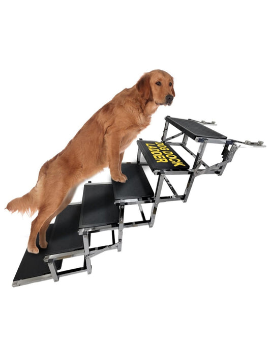 SOLBREEZE SS BIG DOG Dock & Boat Dog Ladder