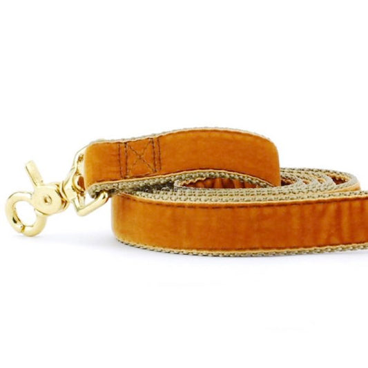 Antique Gold Velvet Dog Leash