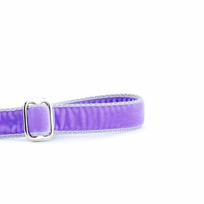 Lavender Velvet Dog Leash