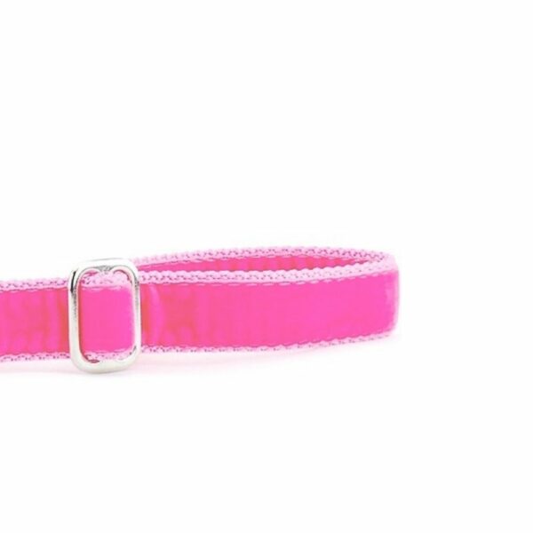 Shocking Pink Velvet Dog Leash