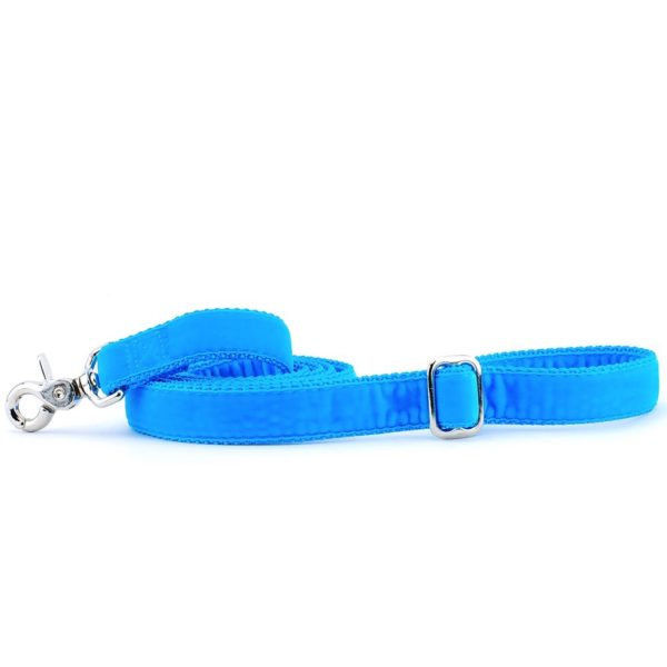 Turquoise Velvet Dog Leash