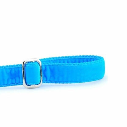 Turquoise Velvet Dog Leash