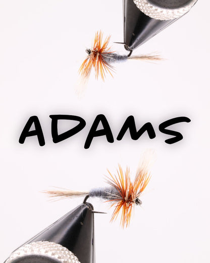 Adams