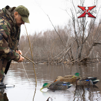 Avian X Topflight Early Season Mallard Duck Realistic Decoys, Multicolor, 6 Pack