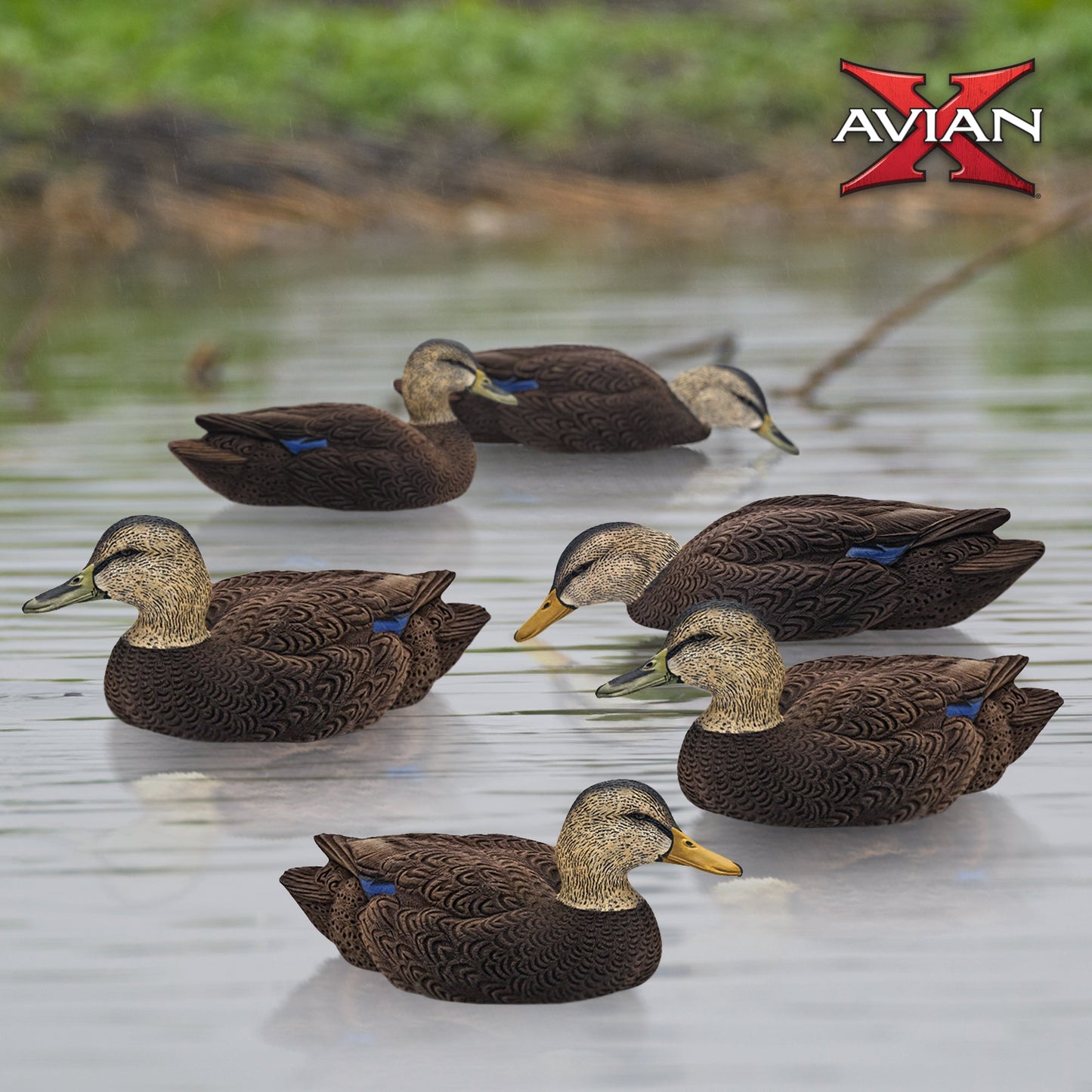 Avian X Topflight Black Ducks Decoys with Flocked Bodies, Realistic Paint Scheme