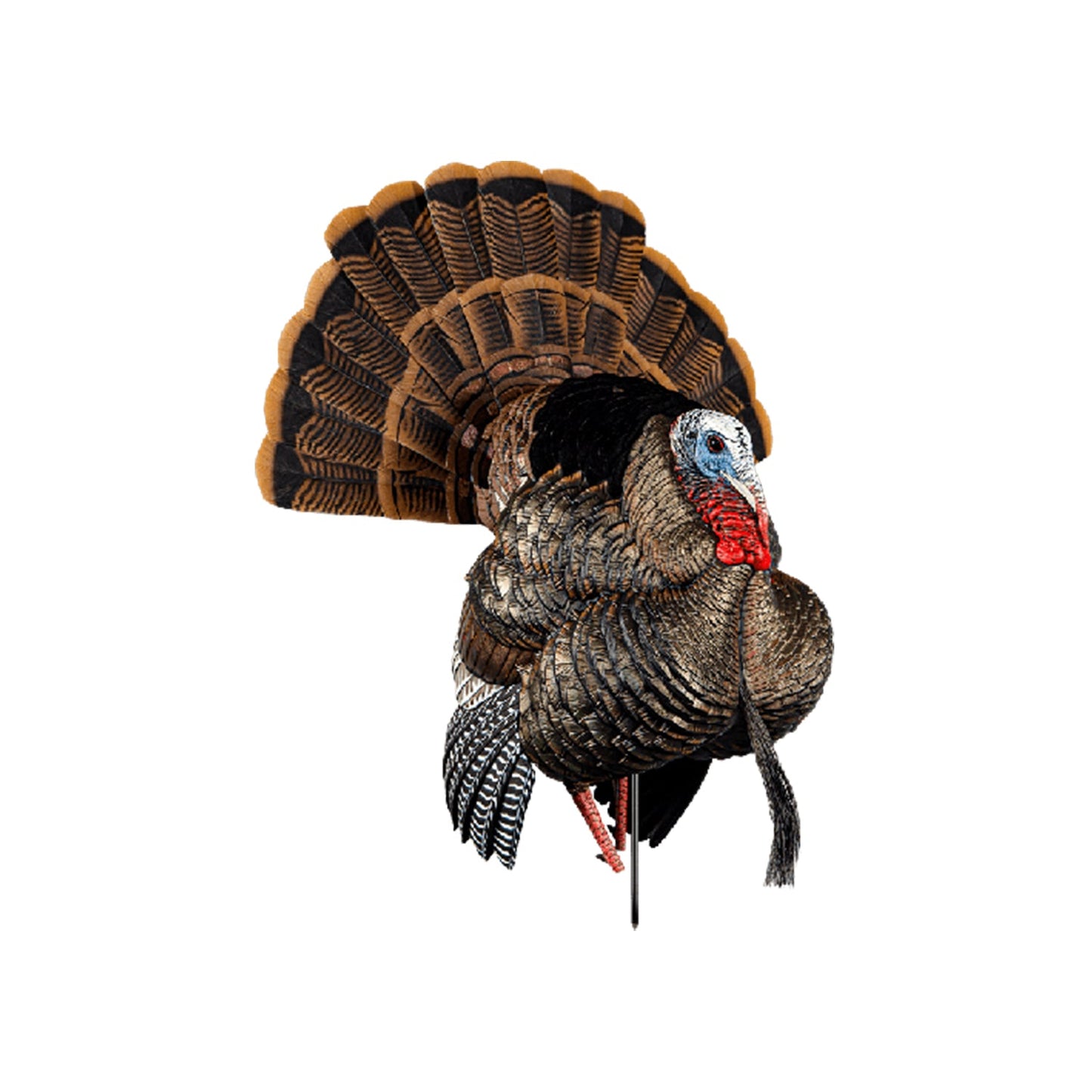 Avian-X AVX8108 HDR Strutter Adjustable Tail Fan Realistic Turkey Hunting Decoy