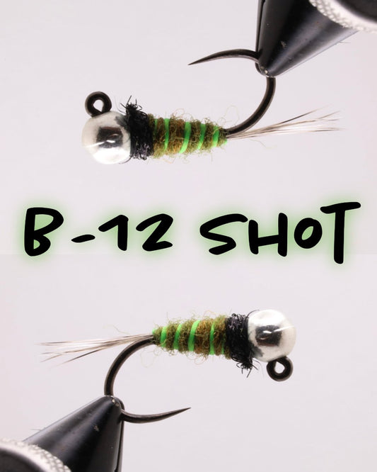 B12