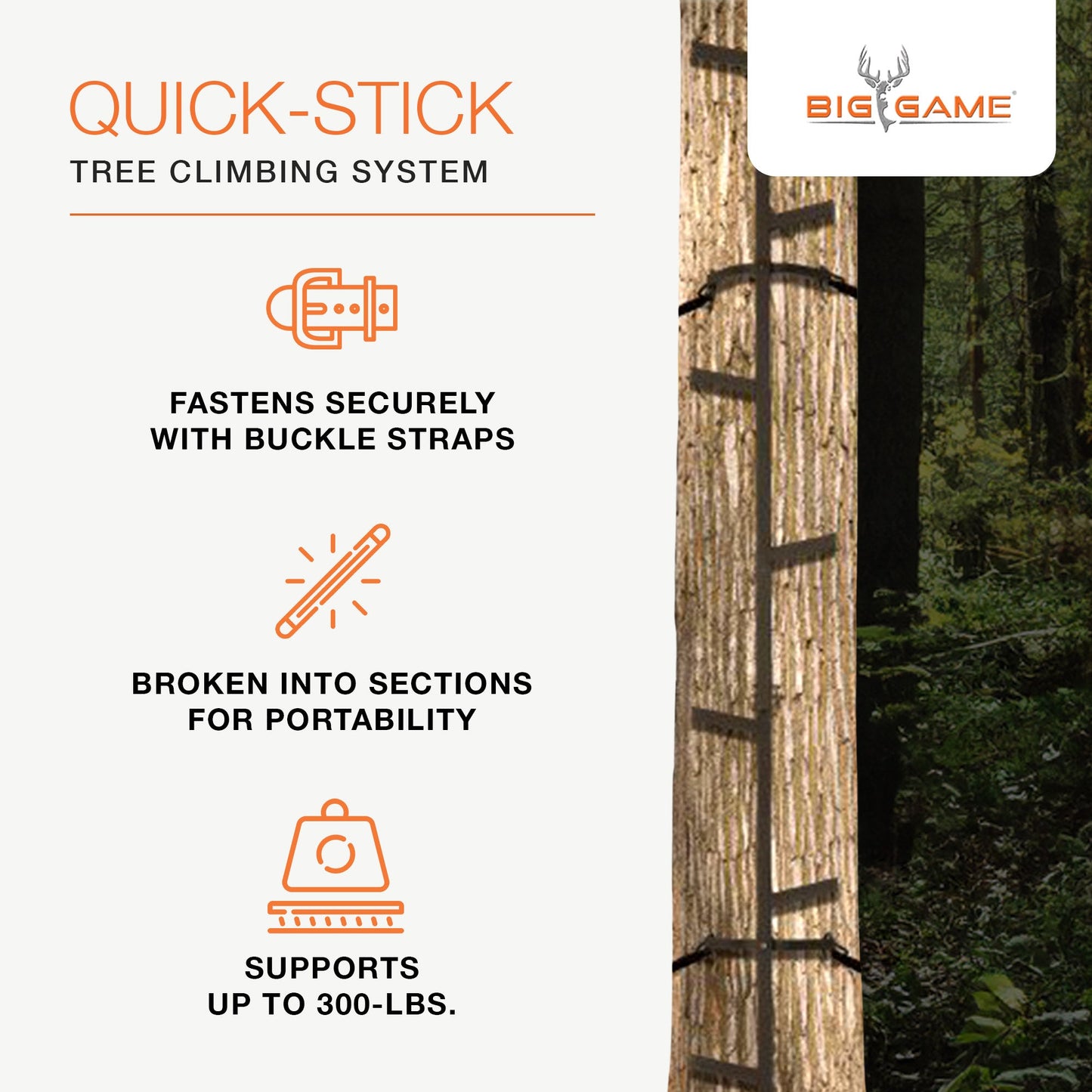 Big Game Hunting Quick Stick Steel Ladder Tree Climbing System, 20 Foot (2 Pack)