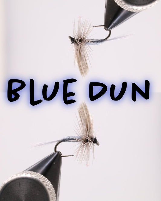 Blue Dun