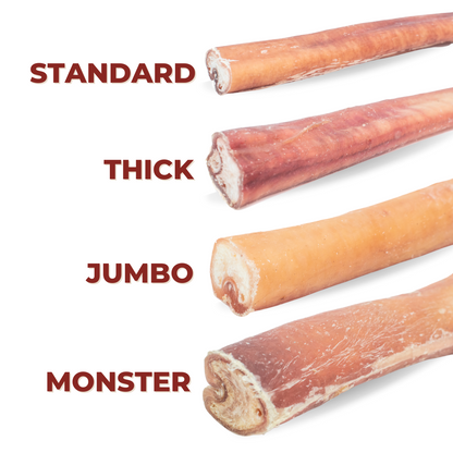 6 Inch Jumbo Bully Stick