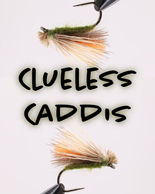 Clueless Caddis