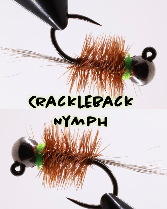 Crackle Back Nymph