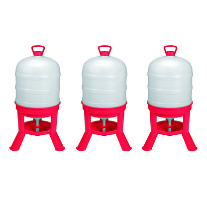 Little Giant DOMEWTR10 10 Gallon Tank Poultry Chicken Gravity Waterer (3 Pack)