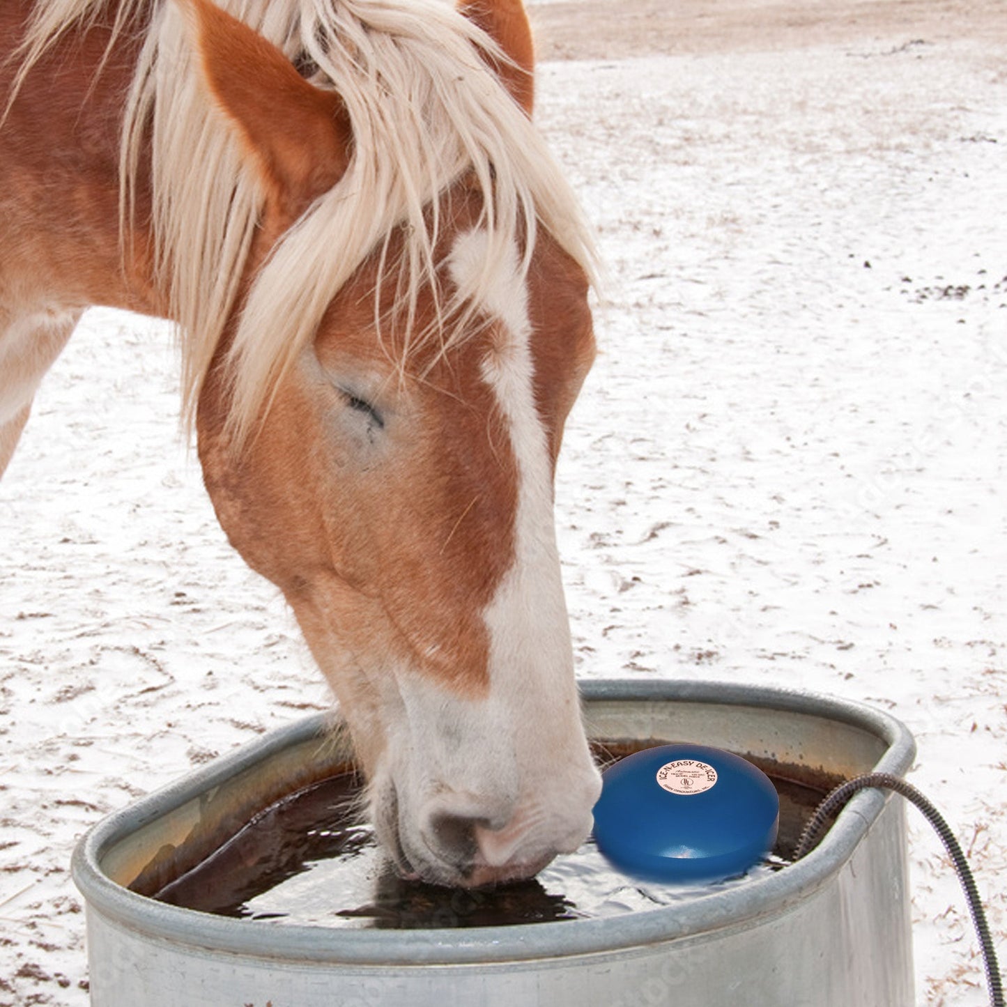 Farm Innovators Ice N Easy Metal Tank with 1500 Watt Floating De Icer (4 Pack)