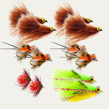 Carpe Diem Carp Fly Assortment