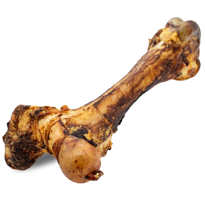 Monster Femur Bone