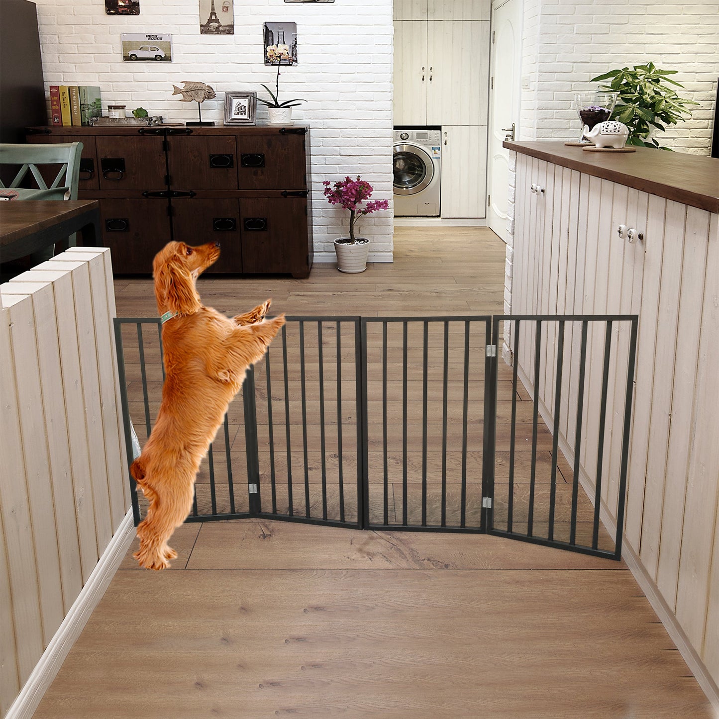 Pet Gate "