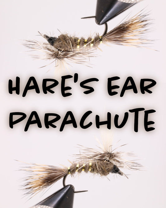 Hare’s Ear Parachute