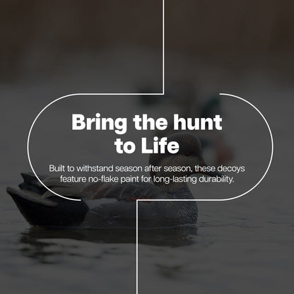 Avian X Topflight Gadwall Decoys Realistic Gray Ducks, Set of 6, Multicolor