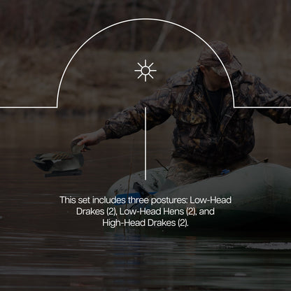 Avian X Topflight Gadwall Decoys Realistic Gray Ducks, Set of 6, Multicolor