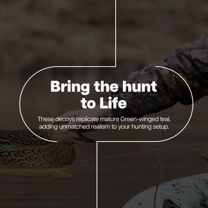 Avian X Topflight Green-Winged Teal Duck, Floating Decoys, Set of 6, Multicolor