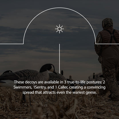 Avian X Topflight Honker Floaters with True to Life Postures for Hunting Use