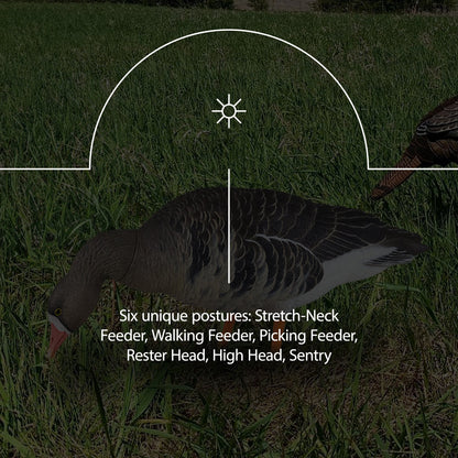 Avian X AVF Specklebelly Fusion Pack with Custom Fitted Bag for Hunting Use