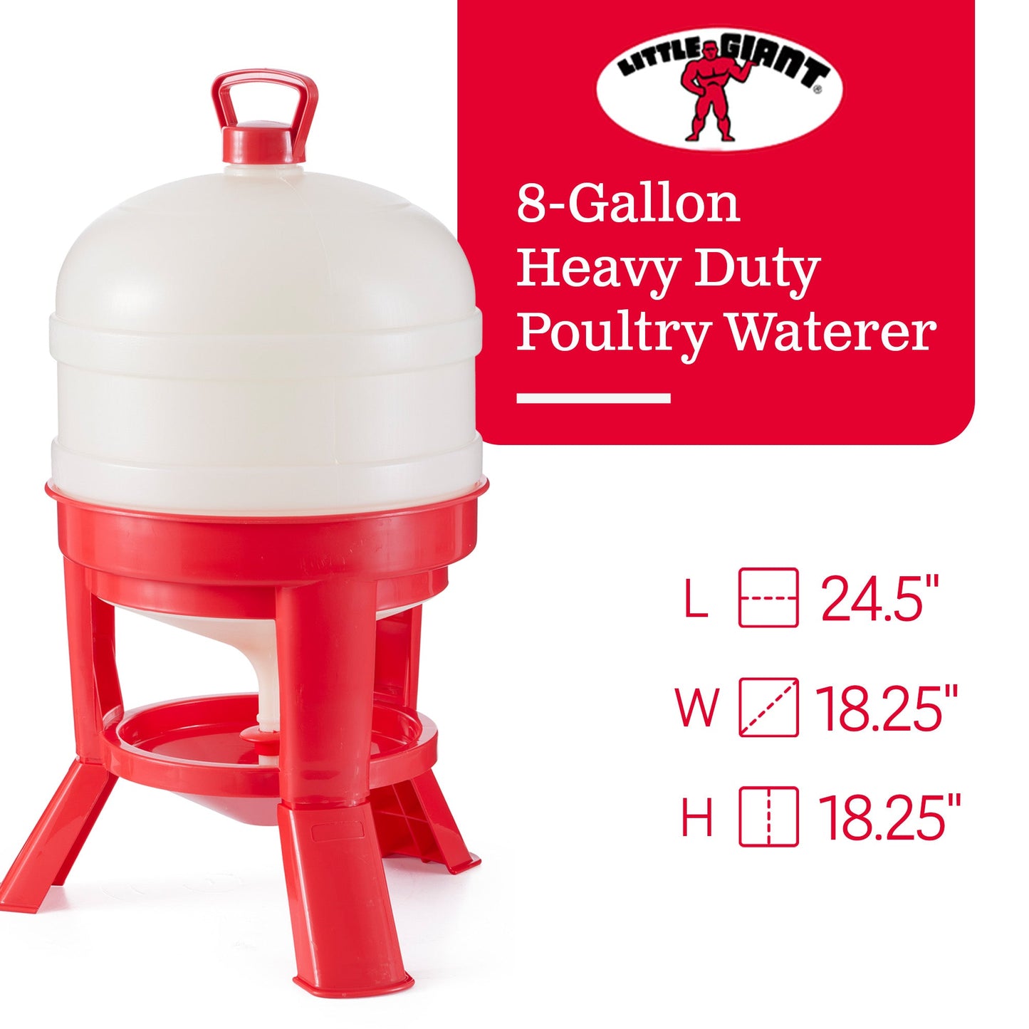 Little Giant 8 Gallon Tank Heavy Duty Poultry Chicken Gravity Waterer (3 Pack)