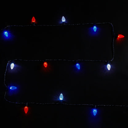 Home Heritage 15.8' Holiday Lights, Faceted, App Controlled, 20 RGB LED Bulbs