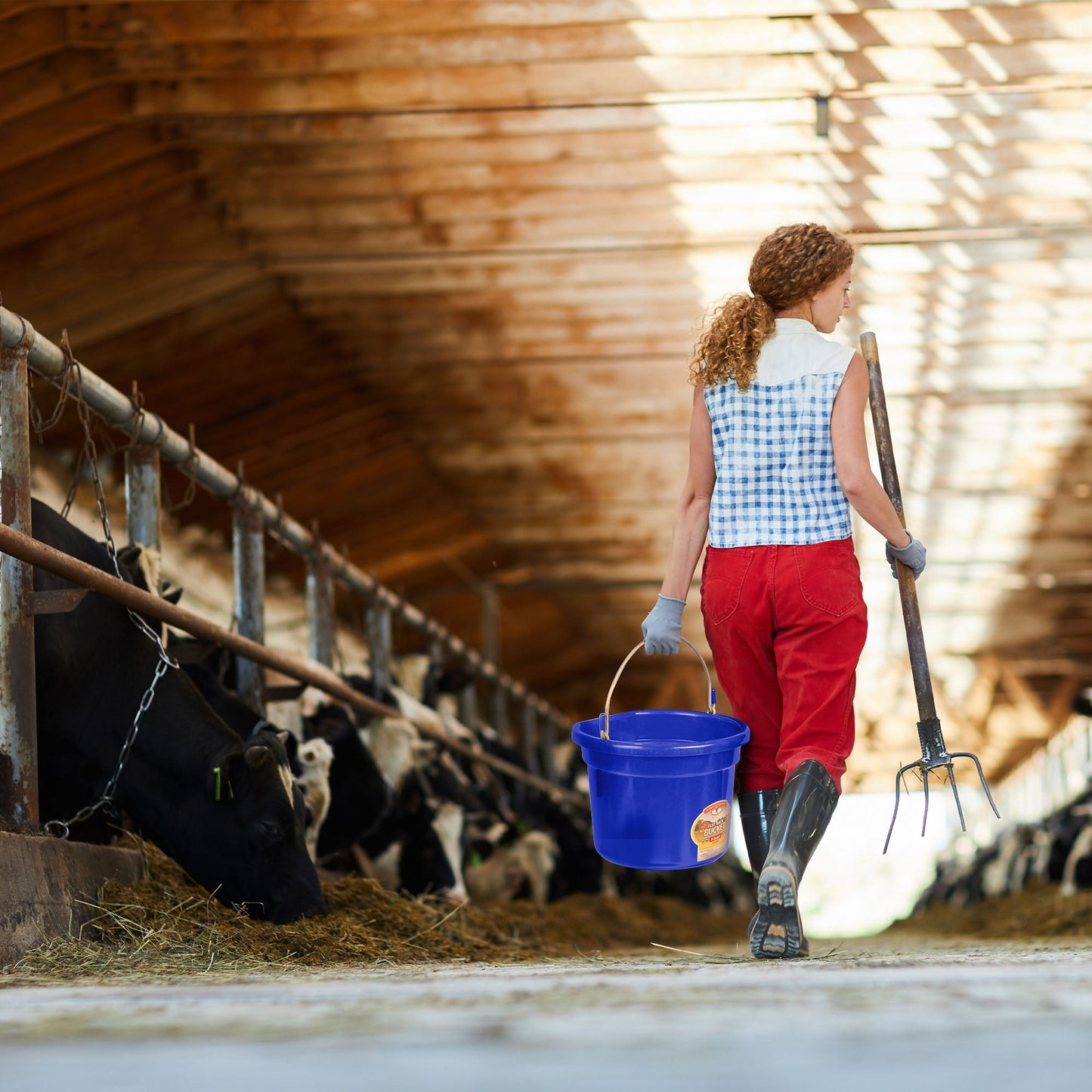 Little Giant 22 Quart Flat Plastic Animals Feed Bucket with Knob Bail, Blue